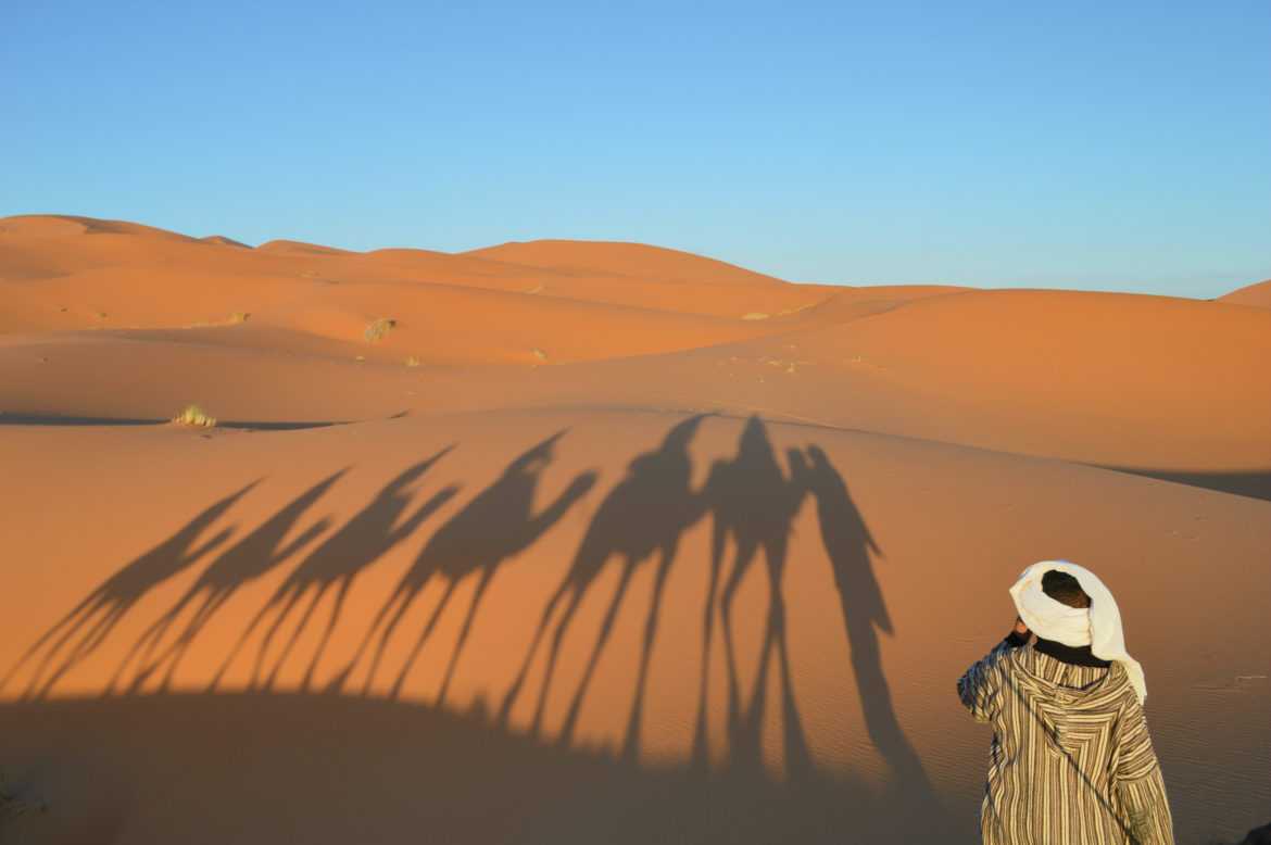 trekking dromadaires sahara désert