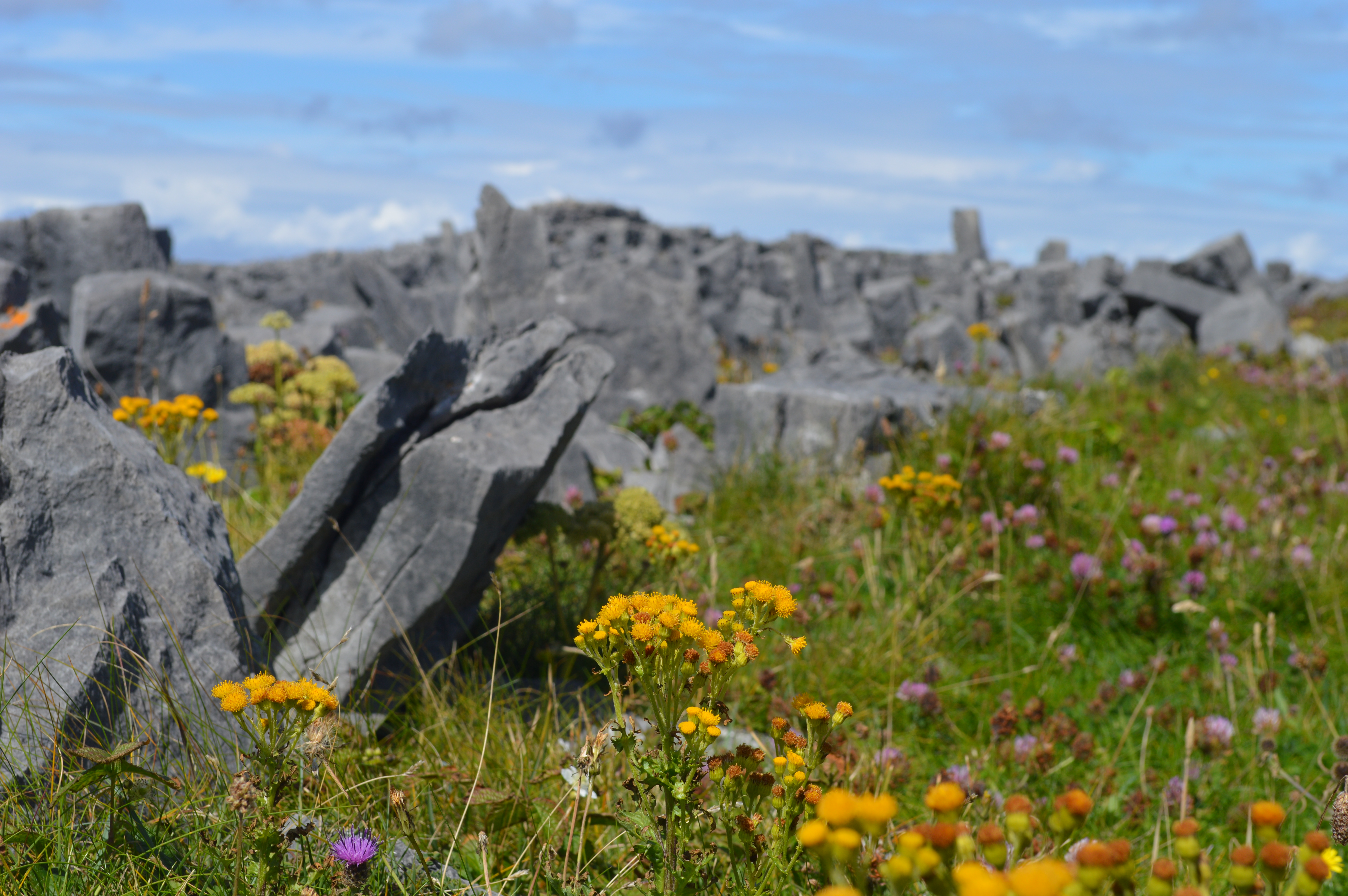 Dun Aengus fort Inishmore Connemara - blog Camille In Bordeaux