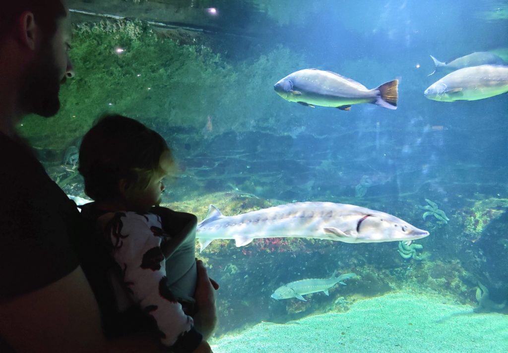 aquarium la rochelle Camille In Bordeaux