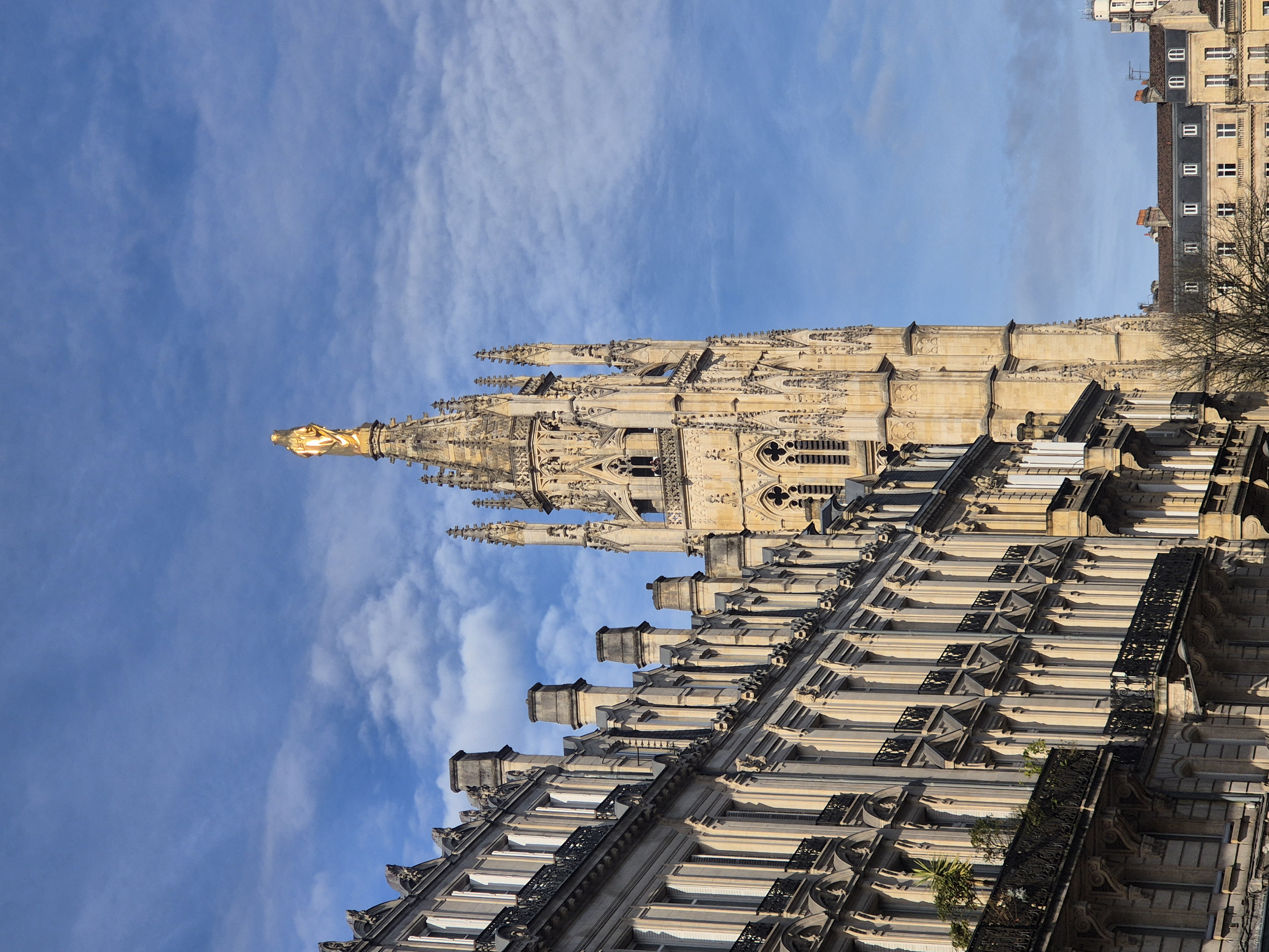 tour pey berland camille in bordeaux